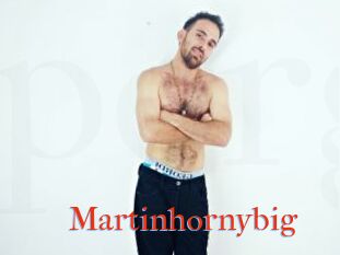 Martinhornybig