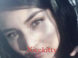 Nicekitty