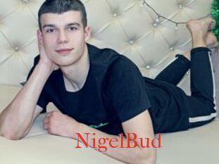 NigelBud