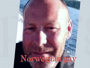 Norwegian_gay