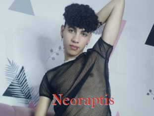 Neoraptis