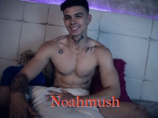 Noahmush