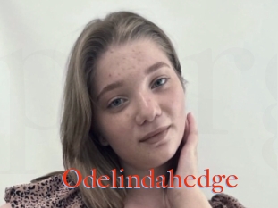 Odelindahedge