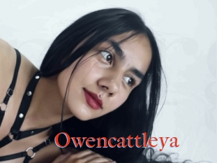 Owencattleya