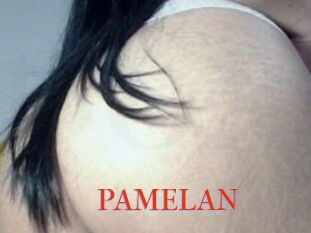 PAMELA_N