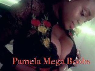 Pamela_Mega_Boobs