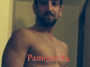 Pamigue84