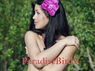 ParadiseBirdX