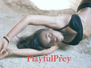 PlayfulPrey