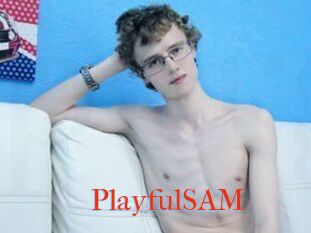 PlayfulSAM