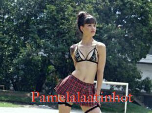 Pamelalaatinhot