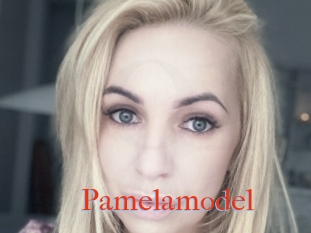 Pamelamodel