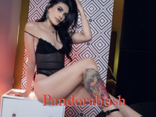 Pandorabush
