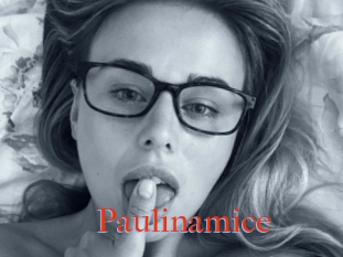 Paulinamice