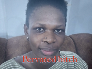 Pervated_bitch