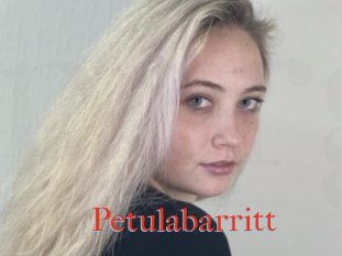 Petulabarritt