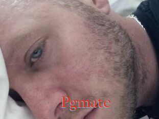 Pgmate