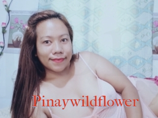 Pinaywildflower