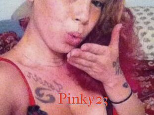 Pinky23