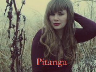 Pitanga