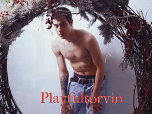 Playfultorvin