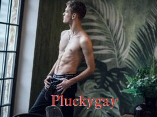 Pluckygay