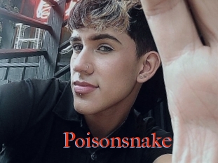 Poisonsnake