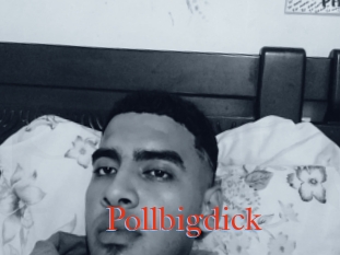 Pollbigdick