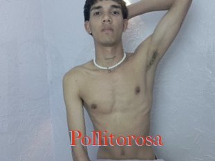 Pollitorosa