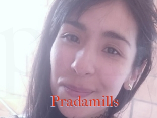 Pradamills