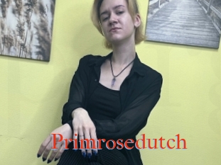 Primrosedutch