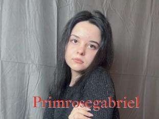 Primrosegabriel