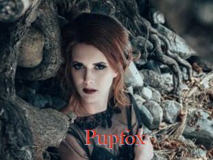 Pupfox