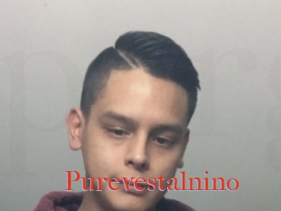 Purevestalnino