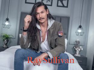 RaySullivan