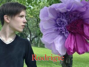 Rodrigie