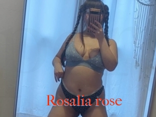 Rosalia_rose