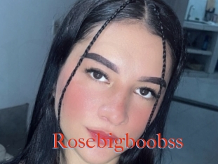 Rosebigboobss