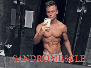 SANDRO_MUSCLE