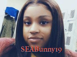 SEABunny19