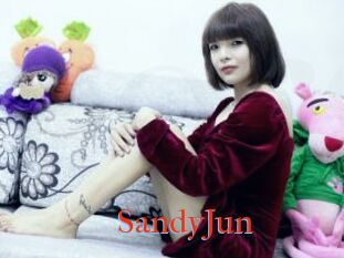 SandyJun