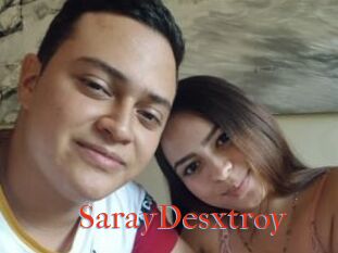 SarayDesxtroy