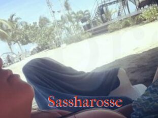 Sassharosse