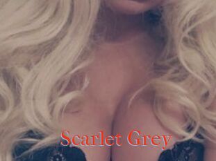 Scarlet_Grey