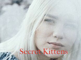 Secret_Kittens