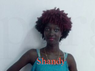 Shandy