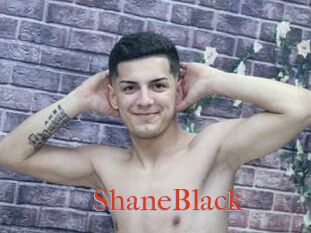 ShaneBlack