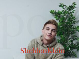 SheldonKlein