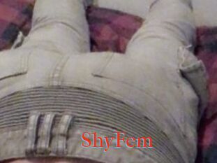 ShyFem
