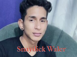 Snaydick_Waler